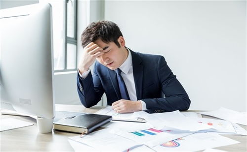 上海人力資源管理師培訓全方位指南 機構選擇、費用解析與備考策略