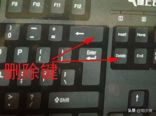 從零開始學電腦辦公 7天掌握基礎操作與編程入門